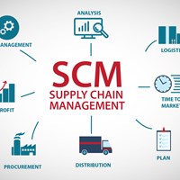 Портфолио Martha cowell